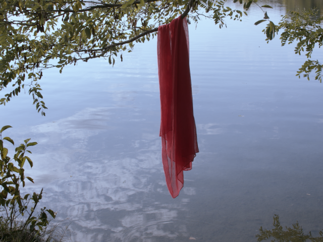 Captura de pantalla 2025-02-05 234555