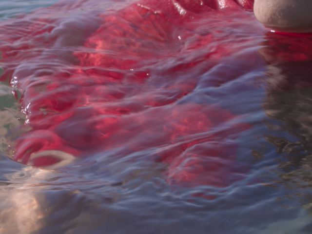 Captura de pantalla 2025-02-06 124112